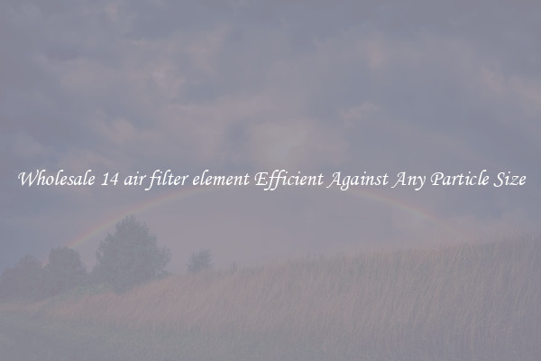 Wholesale 14 air filter element Efficient Against Any Particle Size