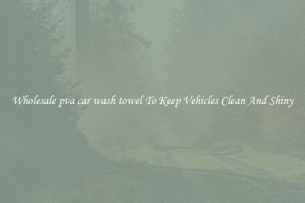 Wholesale pva car wash towel To Keep Vehicles Clean And Shiny