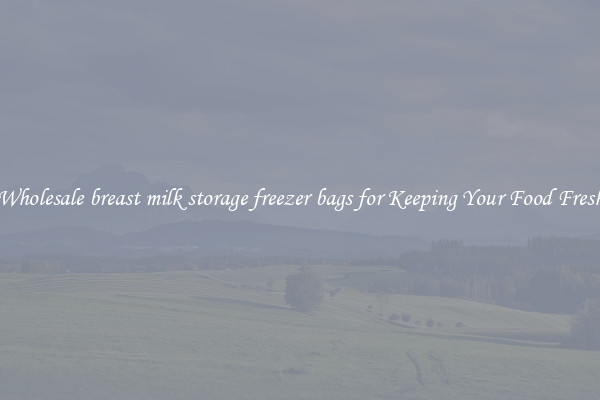 Wholesale breast milk storage freezer bags for Keeping Your Food Fresh