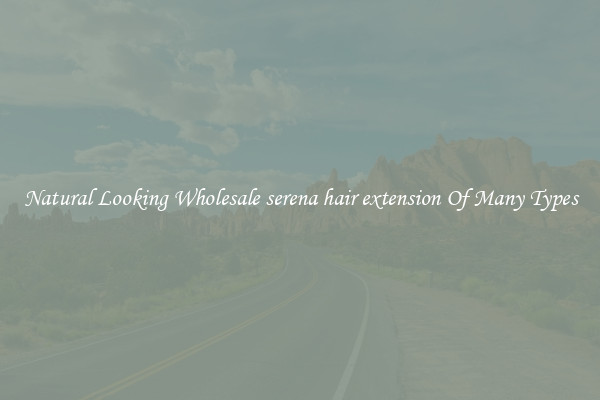 Natural Looking Wholesale serena hair extension Of Many Types