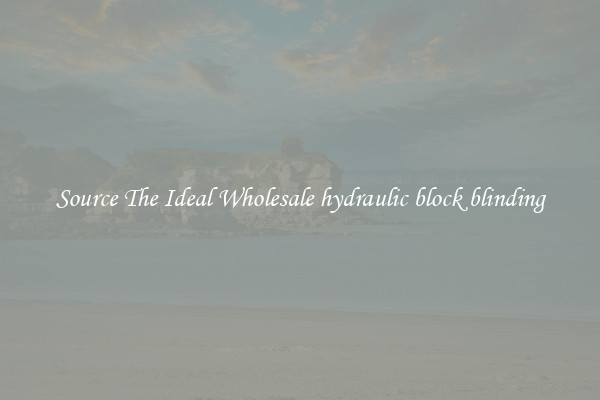 Source The Ideal Wholesale hydraulic block blinding