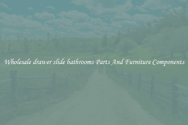 Wholesale drawer slide bathrooms Parts And Furniture Components
