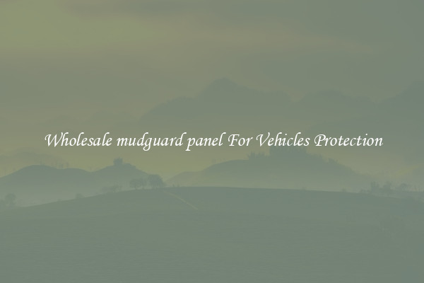 Wholesale mudguard panel For Vehicles Protection