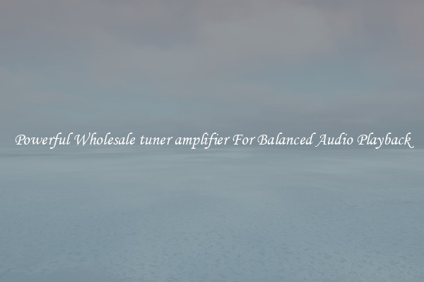 Powerful Wholesale tuner amplifier For Balanced Audio Playback