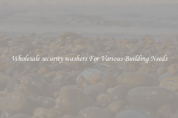 Wholesale security washers For Various Building Needs