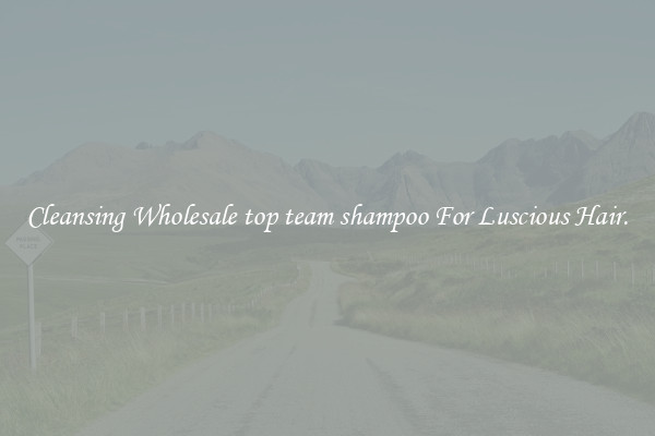 Cleansing Wholesale top team shampoo For Luscious Hair.