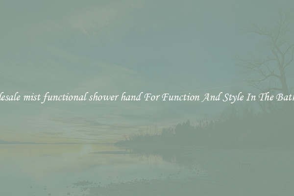 Wholesale mist functional shower hand For Function And Style In The Bathroom