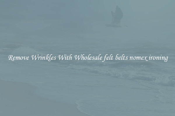 Remove Wrinkles With Wholesale felt belts nomex ironing