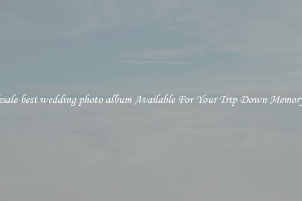 Wholesale best wedding photo album Available For Your Trip Down Memory Lane