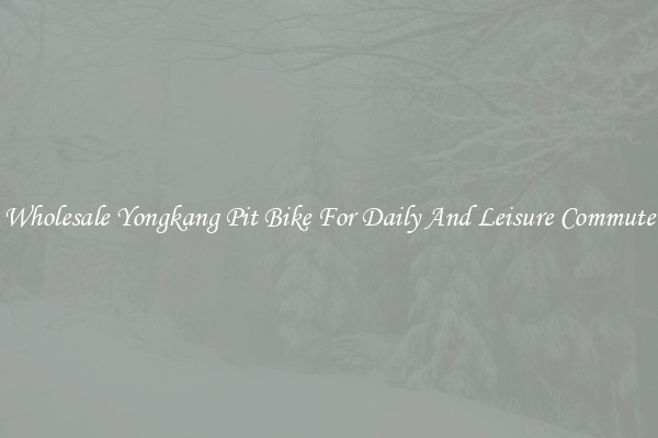 Wholesale Yongkang Pit Bike For Daily And Leisure Commute