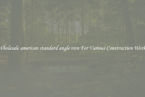 Wholesale american standard angle iron For Various Construction Works