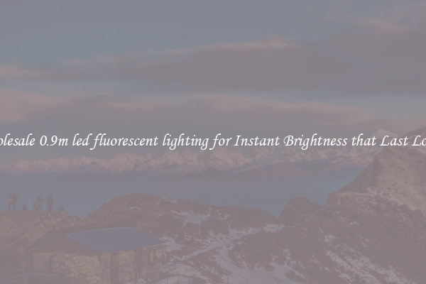 Wholesale 0.9m led fluorescent lighting for Instant Brightness that Last Longer