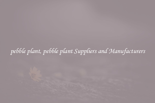 pebble plant, pebble plant Suppliers and Manufacturers