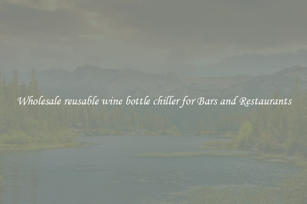 Wholesale reusable wine bottle chiller for Bars and Restaurants