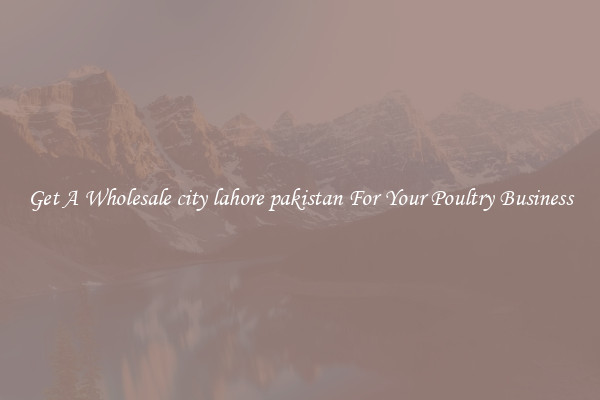 Get A Wholesale city lahore pakistan For Your Poultry Business